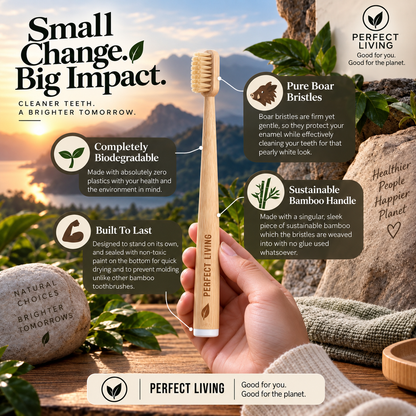 Perfect Living™ Boar Bristle Toothbrush (4pack)