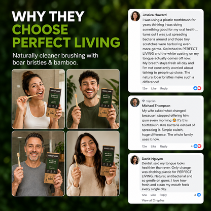 Perfect Living™ Boar Bristle Toothbrush (4pack)